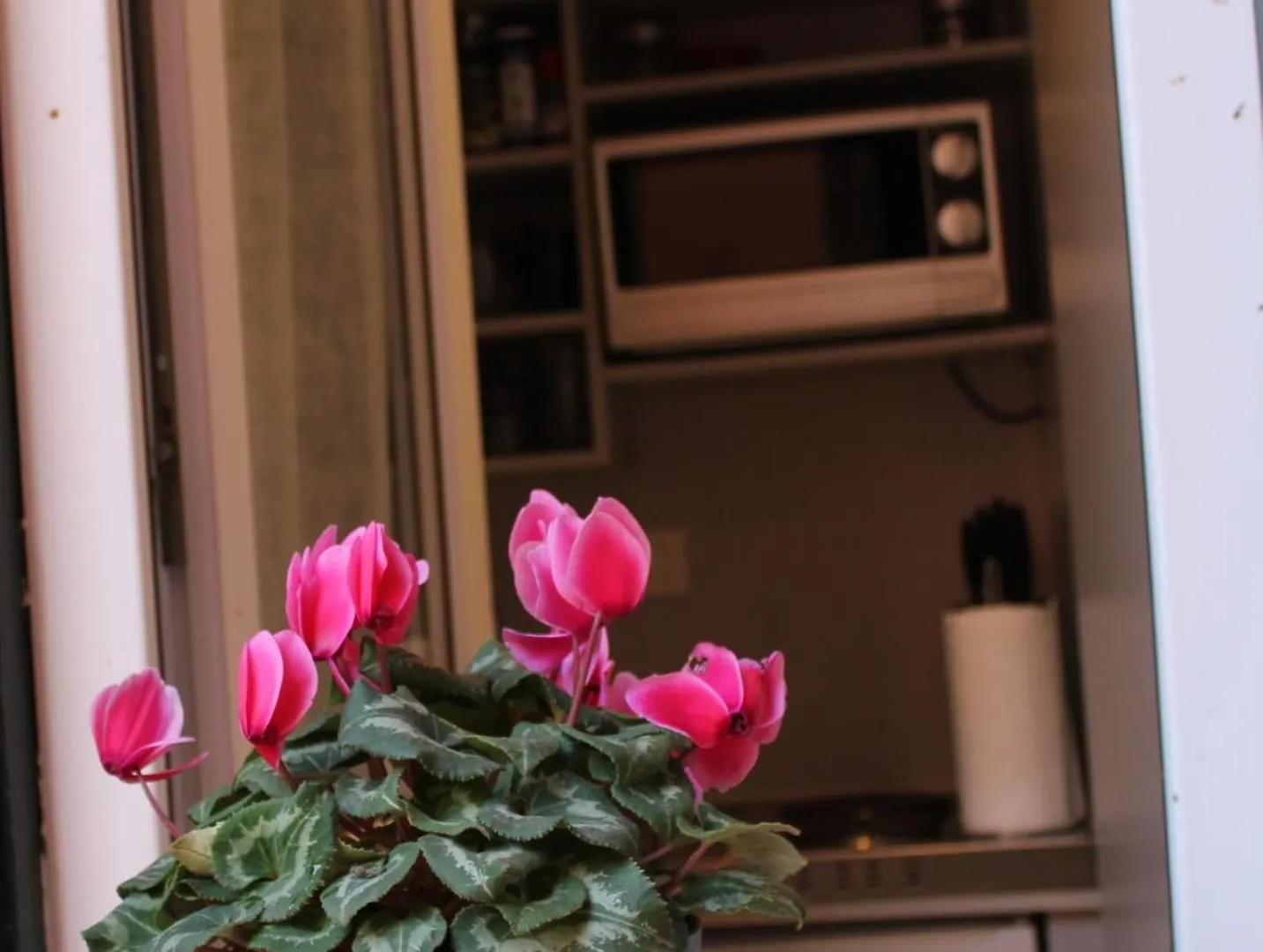Argilla Luxury House 10 Min A Piedi Dal Vaticano Róma Apartman